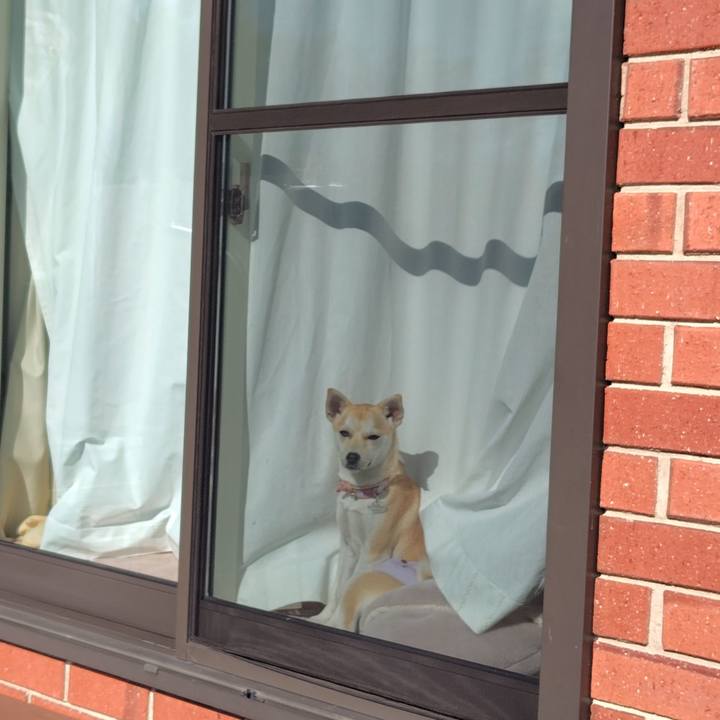 861fcfd6 72fa 4870 ae92 5d365af1ab0e 1768374320194