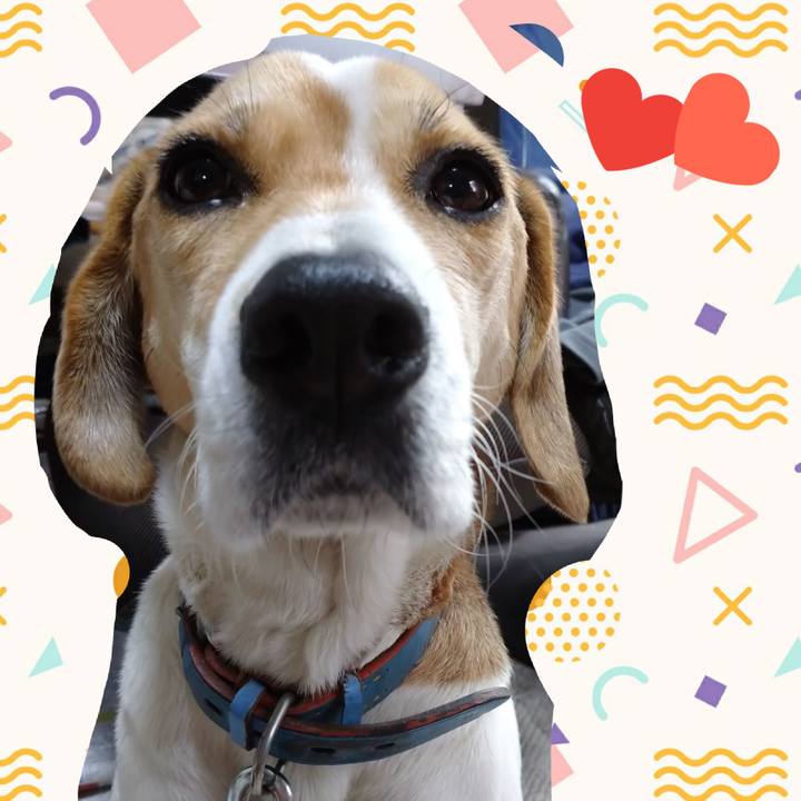 861fe160 72dc 46fb 9e46 edf4dd3d7b80 1610957427887