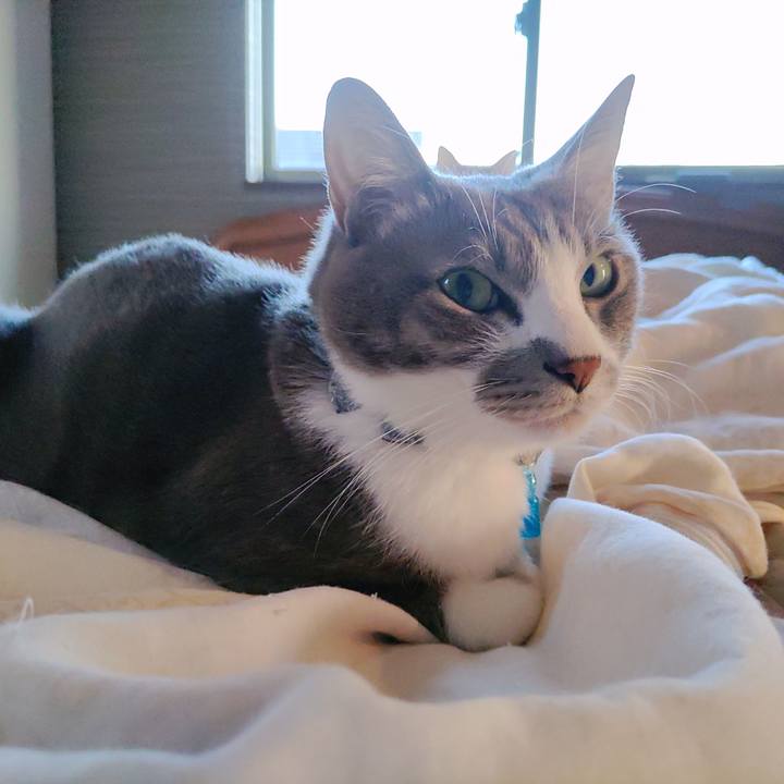 86202b82 5bb4 4290 a026 61ca22797e5f 1698183878839