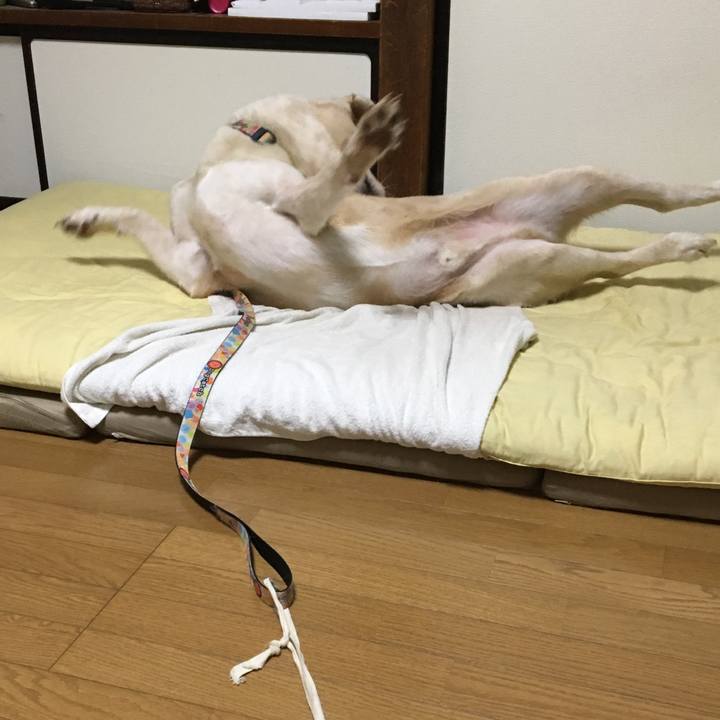 8620317c e45f 410b abb6 983744e3f9e9 1537539447500