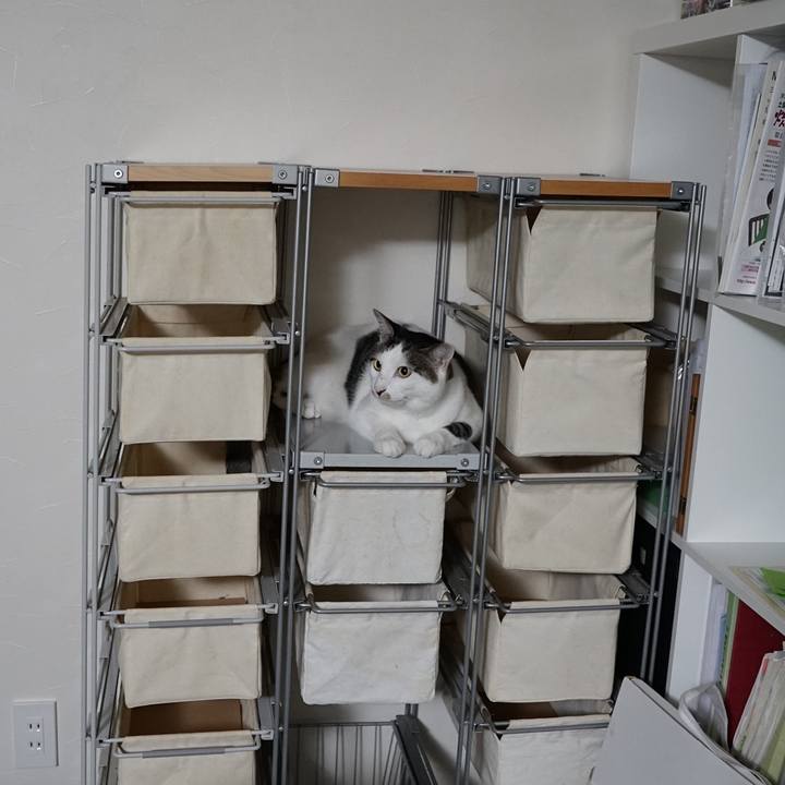 86204bc5 7104 4ad2 910b 170d117dfe9f 1559050300049