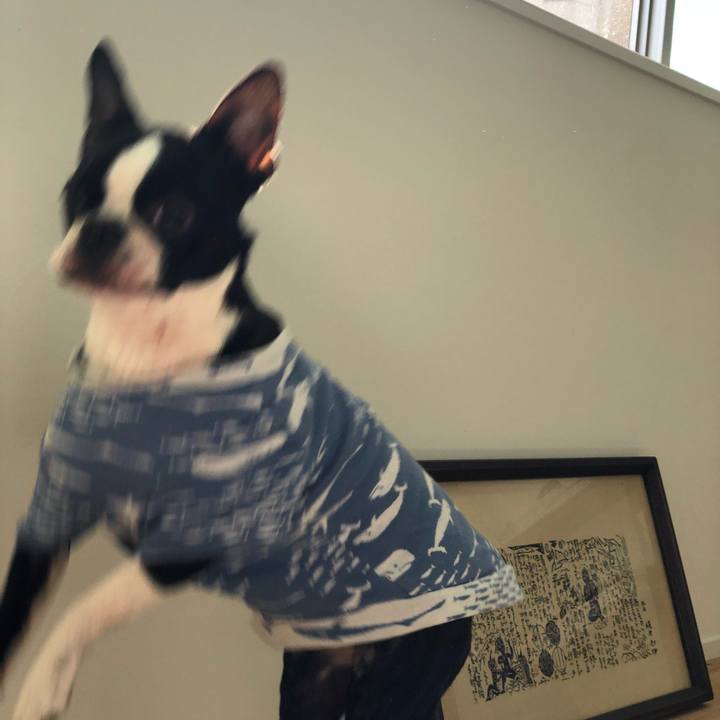 8620eb3f b412 4d21 8cec cebc58353816 1520834597767