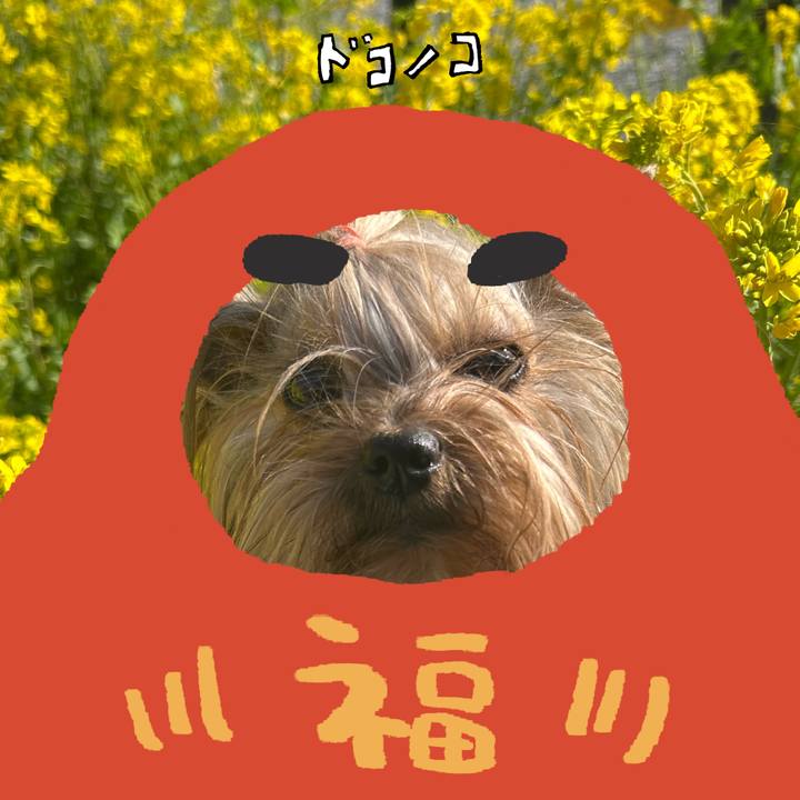 8620f21f de75 4475 8362 3c7e4e1f7035 1771837188485