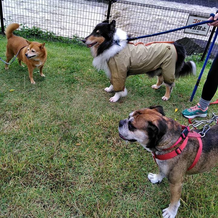 862105fc 21e2 4405 9cee 36dfc2fc5164 1508761885465