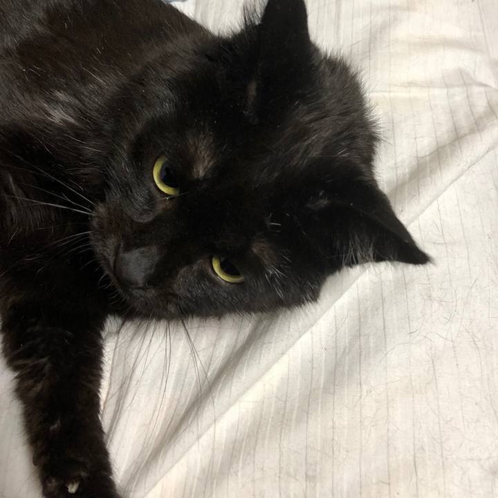 86212aac d568 4027 b815 2a275d1c9951 1583329494201