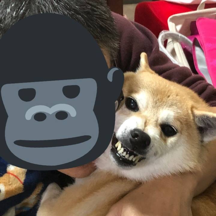 86212d8c 6416 4e2b a337 722112d98de1 1577696428853