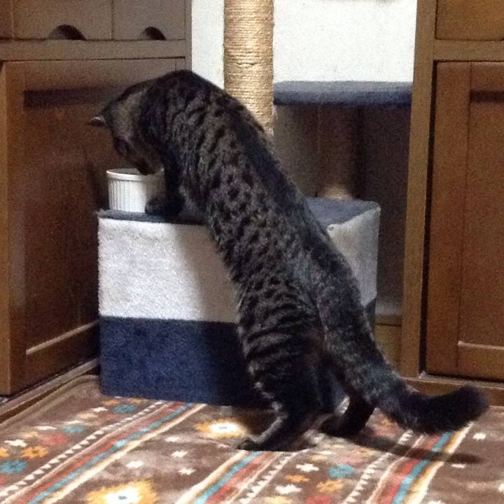 862137e7 9726 4ce5 bf6e 143d979b53ef 1542715213549