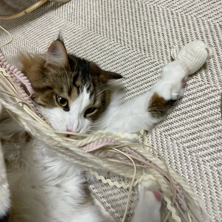 86218251 8703 424f 89a6 3d7da5f06bbb 1668714172300