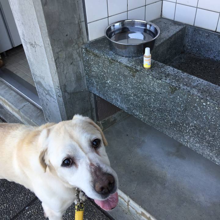 8621b4f5 d7c7 4899 a6c5 dc6ff012591e 1526950148860