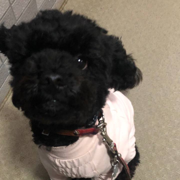 8621f96c 7f2b 403f 982b 08c5b9efd0fa 1564195346229