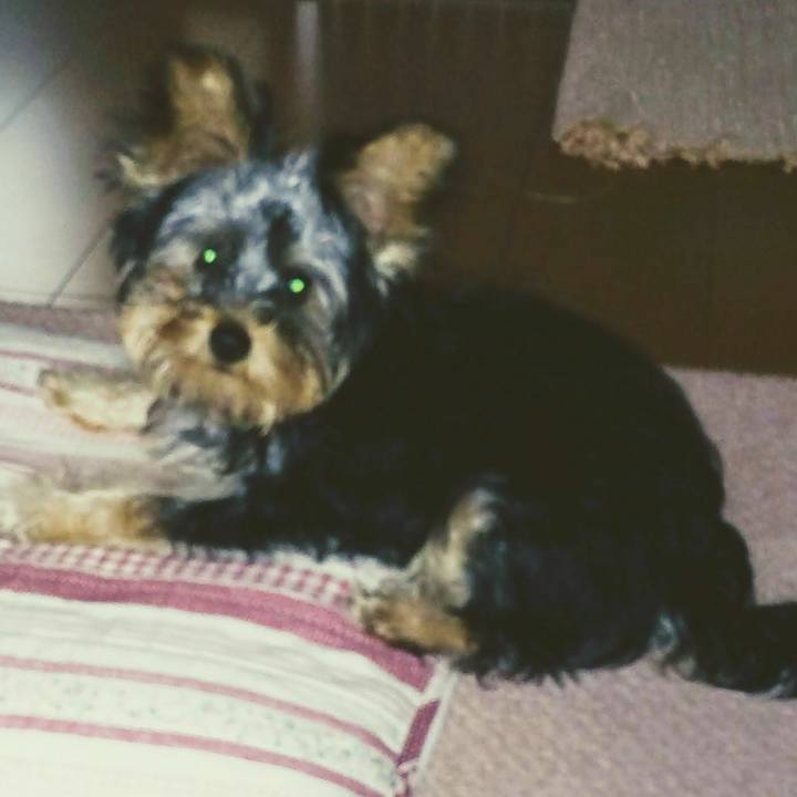 86221443 87a6 4fbb a396 b211d9f72189 1533710605227