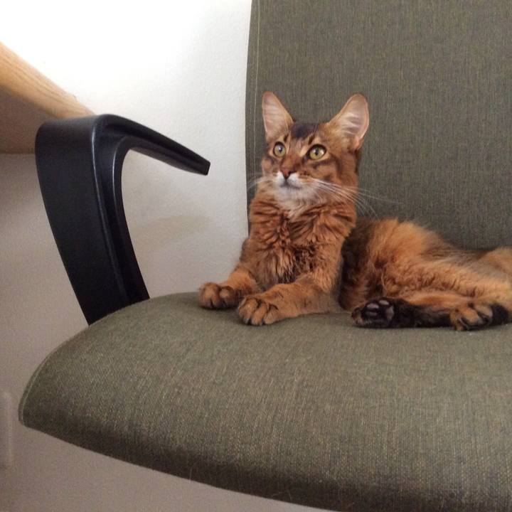 862234a9 516f 4ebb b07c 3ad85c78566d 1568199680654