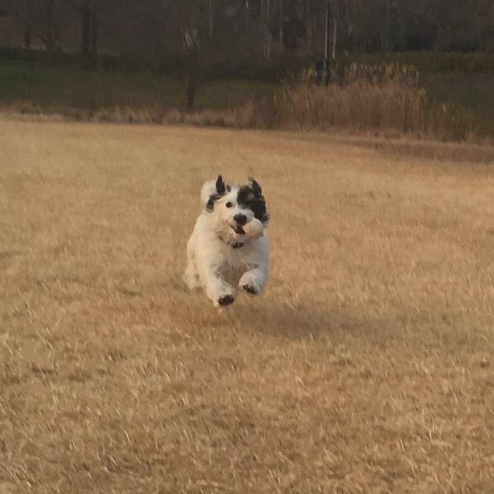 86224a98 2038 44c2 93b9 09ed4568a00a 1516572703977