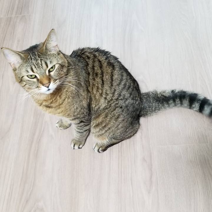 862254f3 77bc 426f aa51 763478a2c8cf 1552362181518