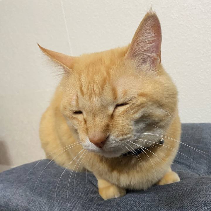 862260f0 c7d1 493a 8a0c 3afb9d41fafc 1719053447640