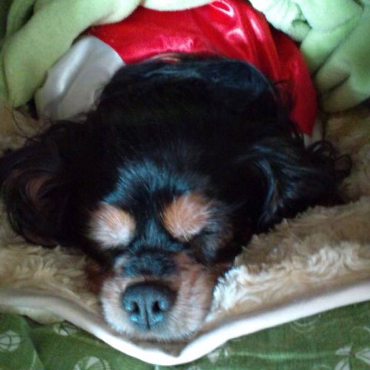 86229742 3893 41fa 852b 671a0bd889ae 1519657464791