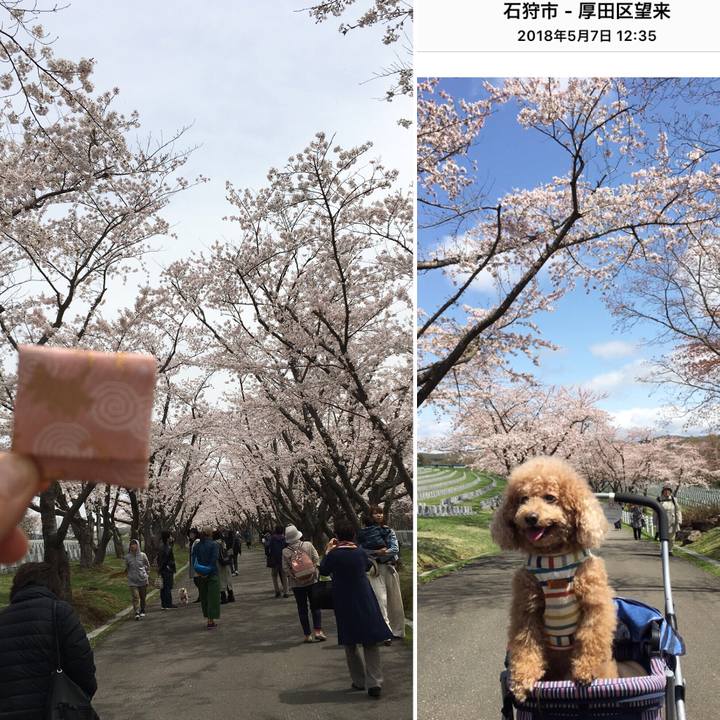 8622ae3e b684 4a8d b213 ef00935f61e4 1557144123369