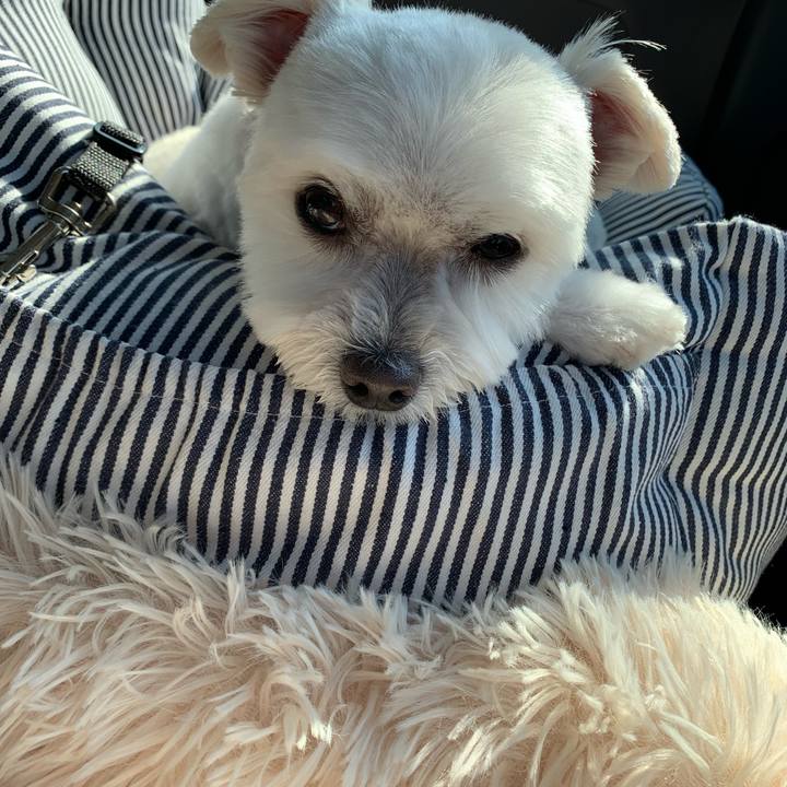 8622ff15 1dd5 4fec aaf3 9bae1a119498 1635849308971