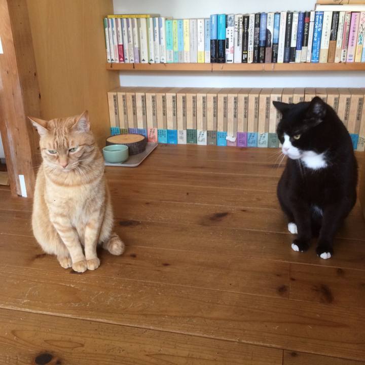 86231859 4a7a 48c5 8bc8 8a7bd950dd3b 1586653935479