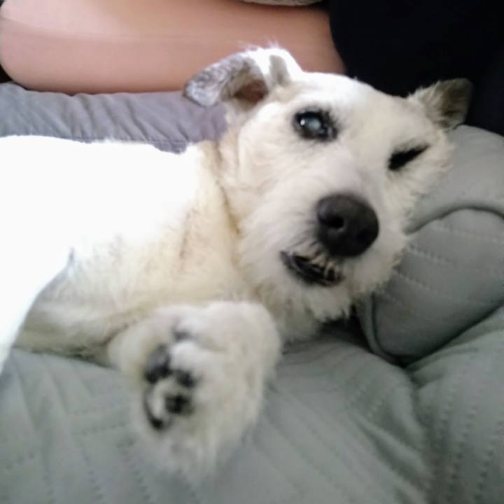 862350b1 8839 4eb6 9f26 3e29e820a3d5 1725452203251