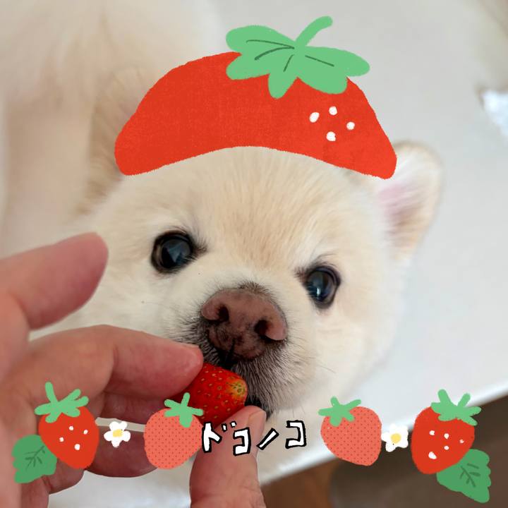 8623513c b21d 4027 83a4 9f08a94b3c3b 1775872911985