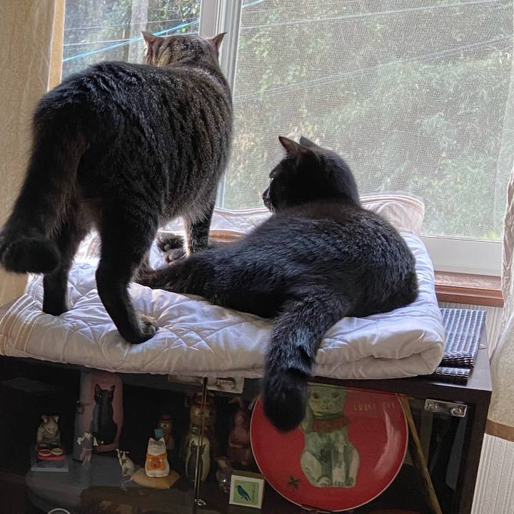 86237a3a 06d8 4345 b6e5 530d0cd26296 1633437858509