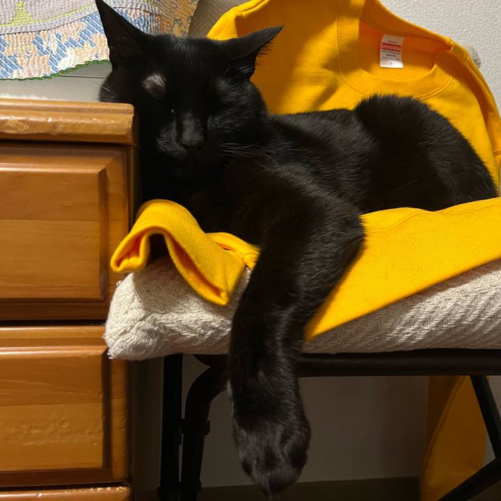 862386bf f89f 4454 ba92 dc461989f03c 1680875170419