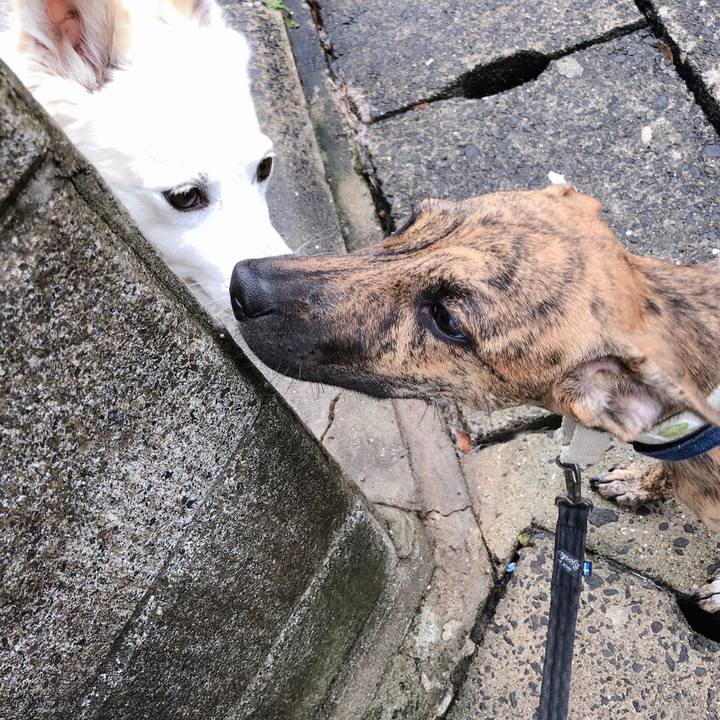 8623d597 260e 4479 b1b9 05dcd6bdecdc 1575993343415