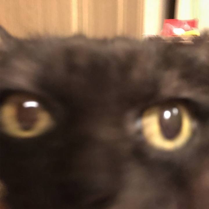 8623e2c5 deec 4ebe a305 17575258988b 1554215631476