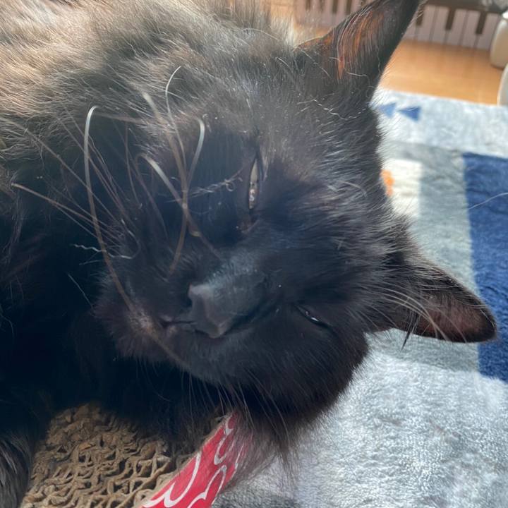 8623e9d2 fd38 4c93 a643 9a7a40d519d5 1578936713426