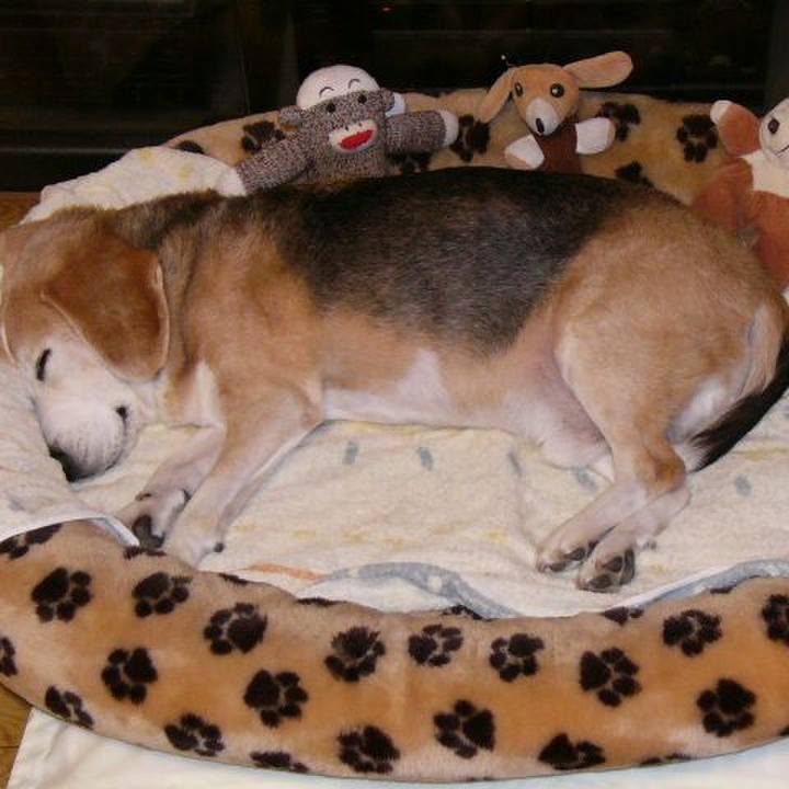 862494c1 03ef 4c70 99a3 230a95c08e26 1673743014126