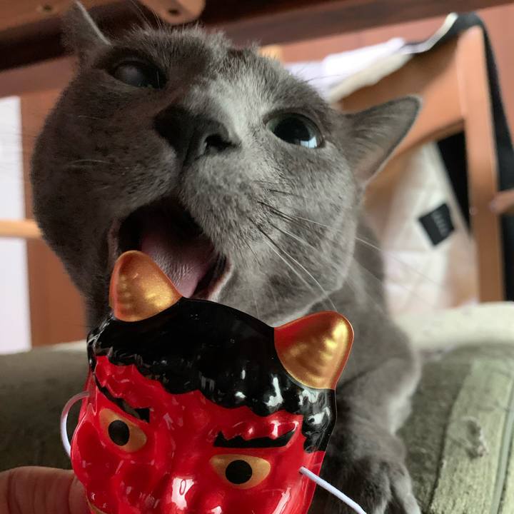 86249518 bb9b 47c1 a5c6 f93718536a8a 1675396853143