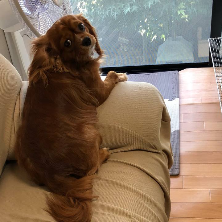 8624a47d 61c0 4f0f ba9a 3971e0370dc6 1560432886453