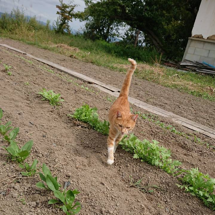 8624bf50 256a 40f4 978d 6bfad8ecab01 1569120466590