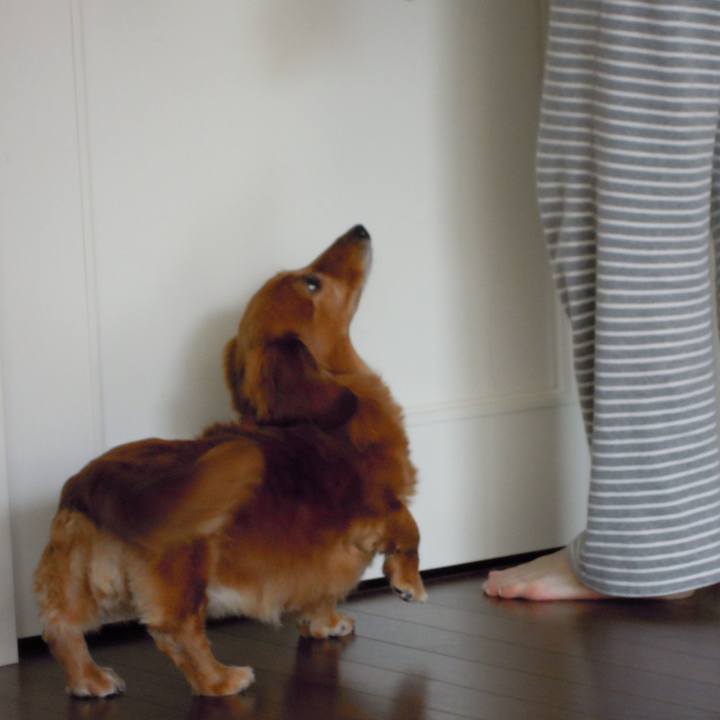 8624d4a8 43d9 4209 ad6c 501df902b041 1556647681582