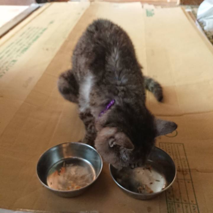 8624fe8f 3f8e 4290 b1e2 95de67c5640a 1597459851474