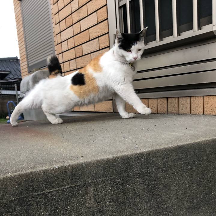 86252f7f 16fc 4b36 9ab2 16f3d394a240 1616364967770