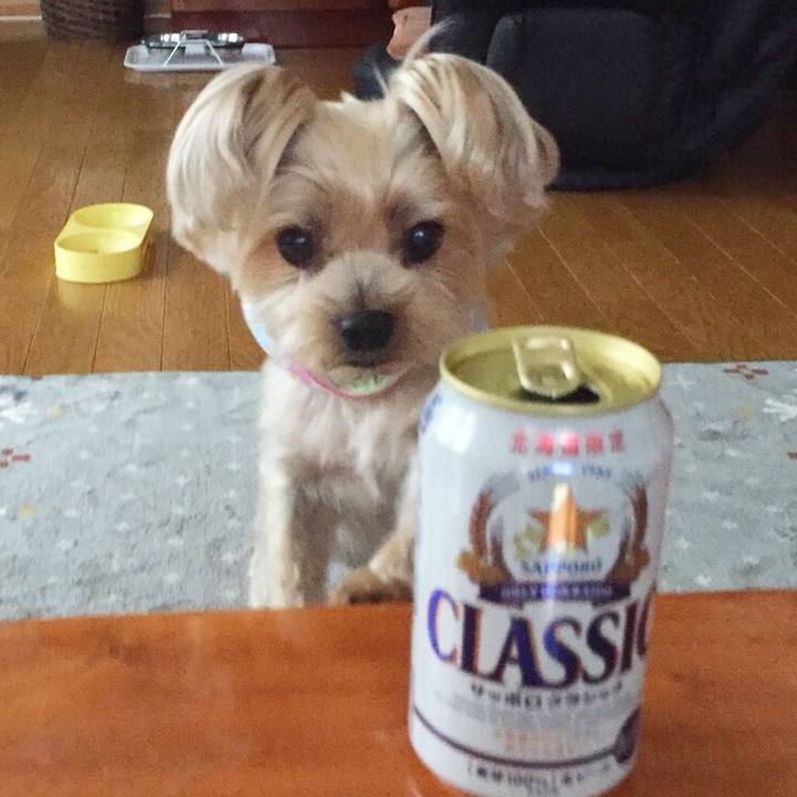 8625468a 04c7 4445 9bc3 62707c288b25 1524696573442