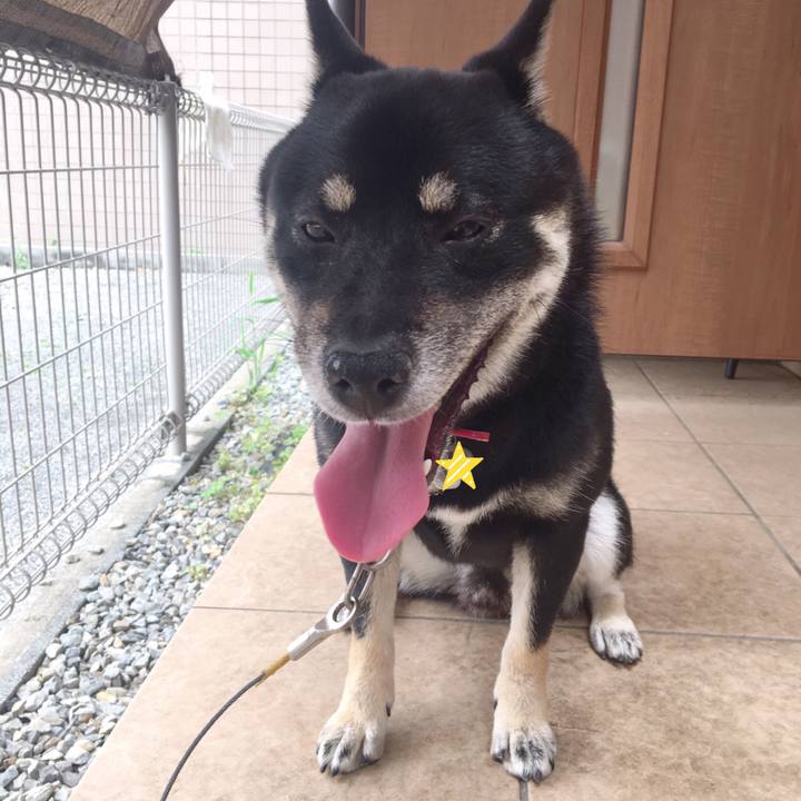 86255a69 d8d0 408b a8d6 75761e29bd3e 1529550667697