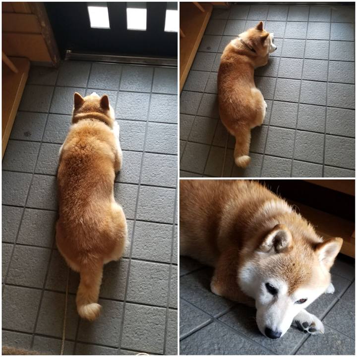 86255bd9 dacd 4d4a b83a cd80c9b063fc 1659833528922