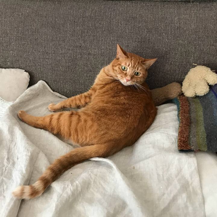 8625685c 13d6 44d2 a1c4 6d518a6c6348 1521093726307