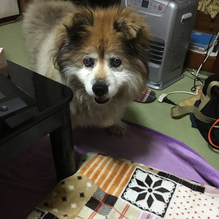 862584f8 749c 4b7e 81a0 bb99256fb5d4 1561795684562