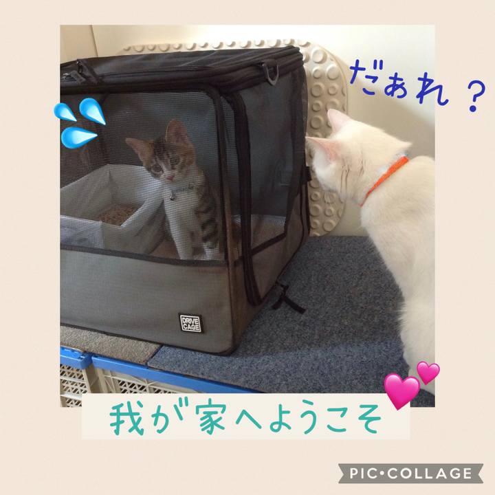 8625eb98 71dd 4ee7 a141 9c70d252a52a 1659641550947