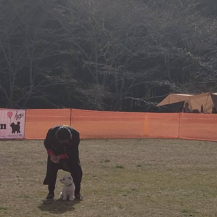 86260606 3822 479c 8dc3 59411e243147 1711975886710