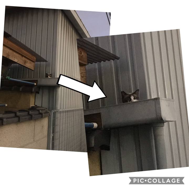 86260973 b4b5 427a 82c6 af141a562e63 1561775123510