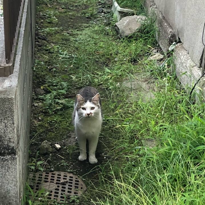 86260f27 abf1 499f 9e37 9a7036f199a0 1570455789677