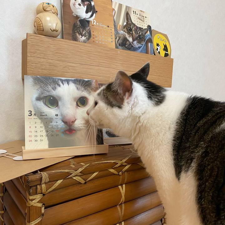 8626563f 512d 4bca a825 c175600d82bd 1765869088429