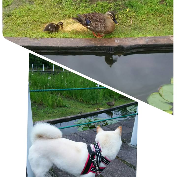 86266fd2 d325 470a 937f 0e83d27d954f 1530179483426