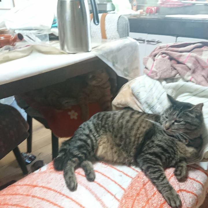 86268407 6165 49f6 8185 11a5bda0065f 1648935808523