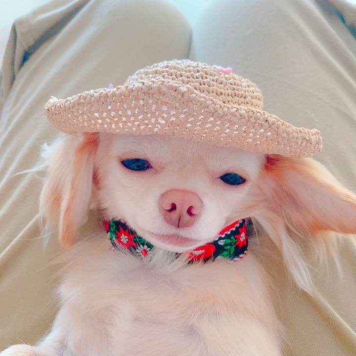 8626a511 42d2 4d7d 9443 b893143d1227 1627533687914